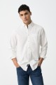 tommy (2).jpg